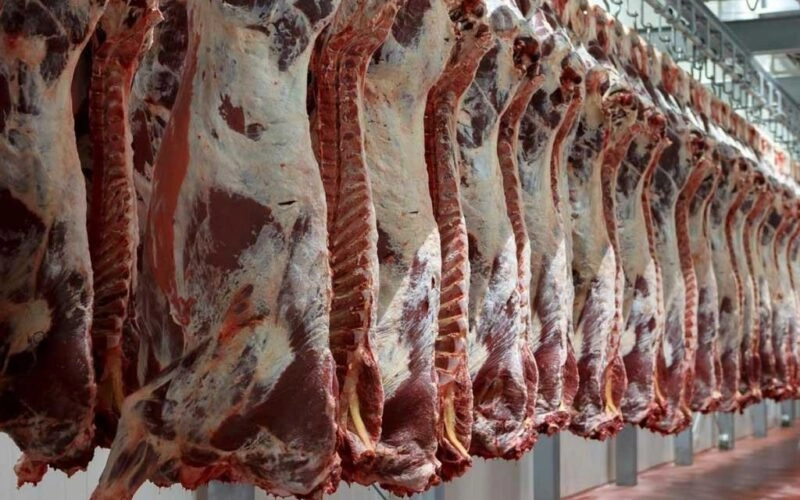 المغرب.. أسعار اللحوم الجديدة بعد التخفيض.. وهذا هو سبب الغلاء