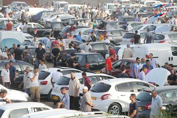 سعر السيارة المستعملة في محافظة القليوبية: ما يجب أن تعرفه قبل افتتاح سوق السيارات غدا فى القليوبية 